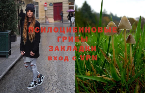 соль ск Аркадак