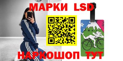 крисы Гай