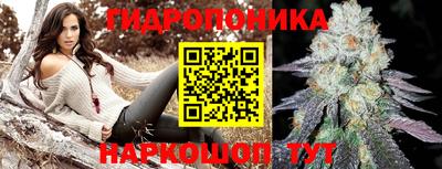 эйфоретик Гатчина