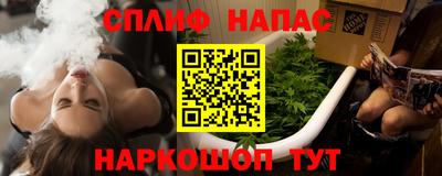 крисы Гай