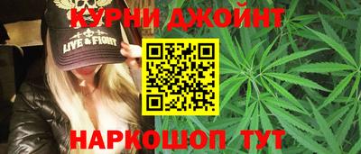 крисы Гай