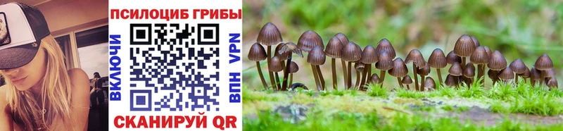 Галлюциногенные грибы MAGIC MUSHROOMS  купить   Кубинка 