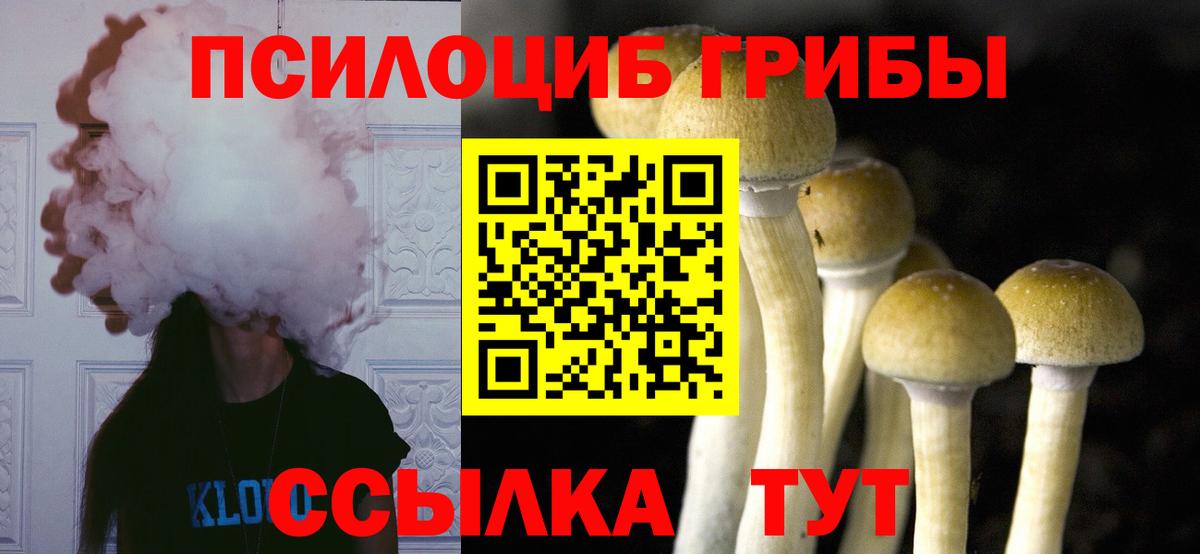 Галлюциногенные грибы Psilocybine cubensis Кубинка